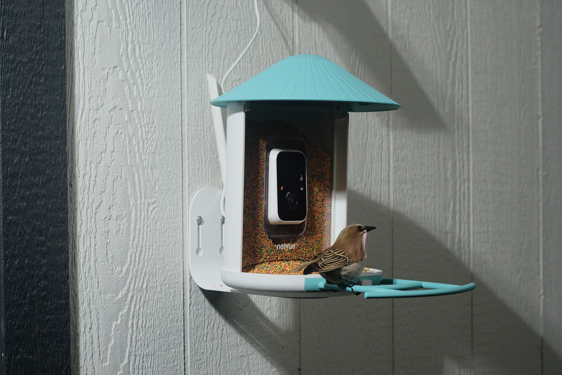 BIRDFY AI RECOGNITION BIRD FEEDER CAMERA BIRDFY AI RECOGNITION BIRD FEEDER CAMERA