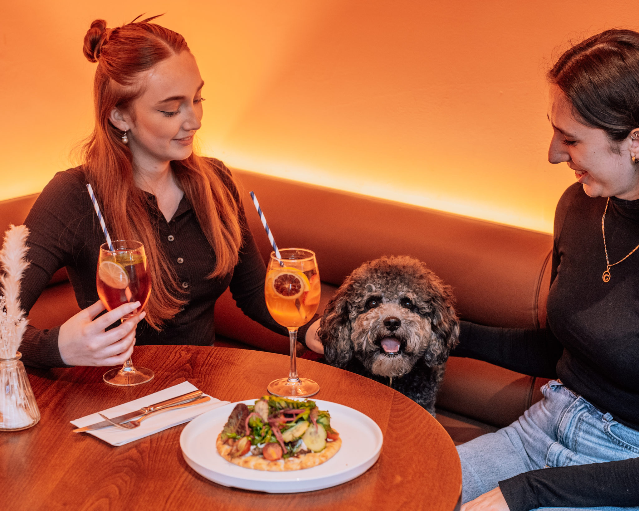 The ultimate dog date