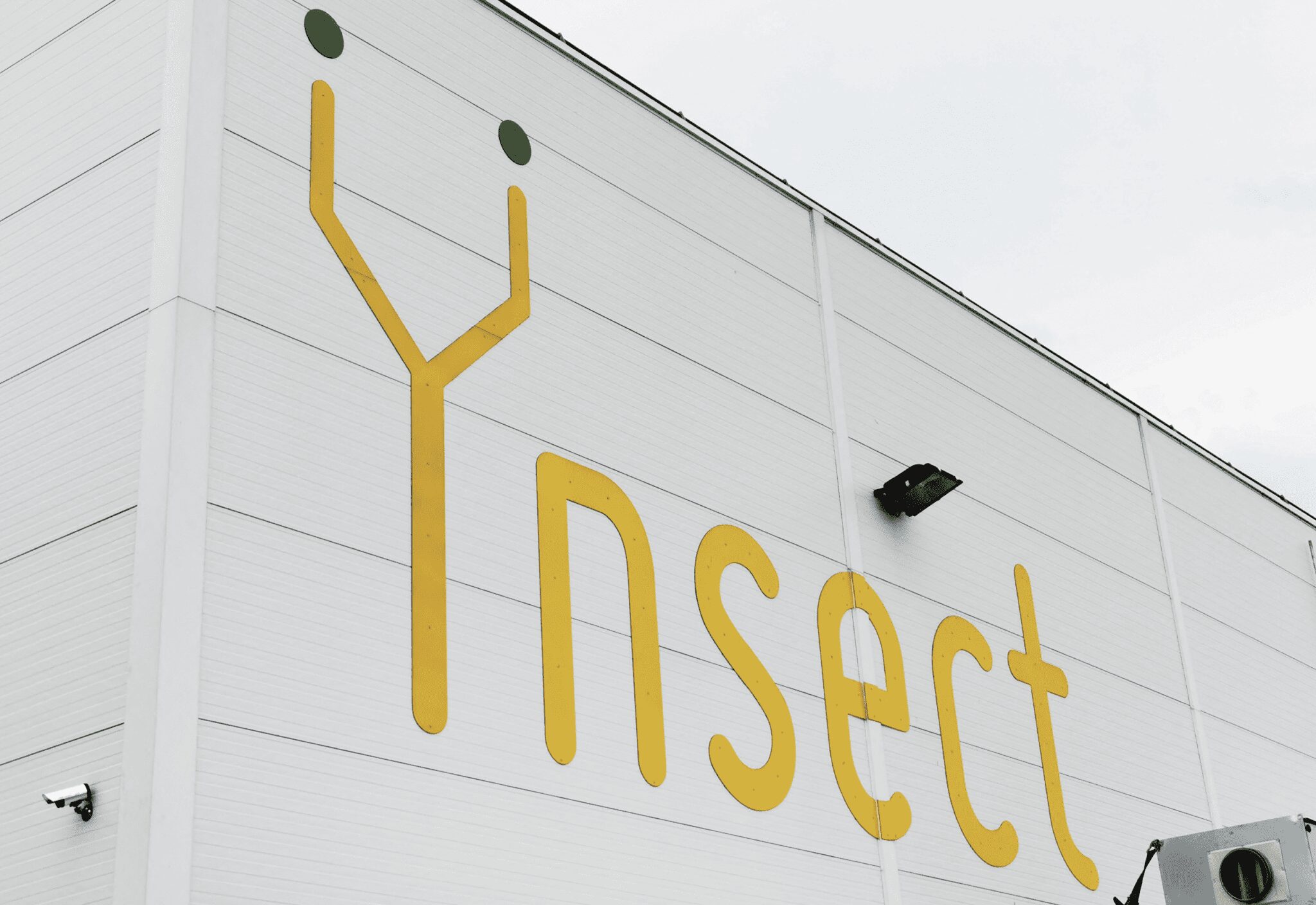 ŸNSECT STRENGTHENS